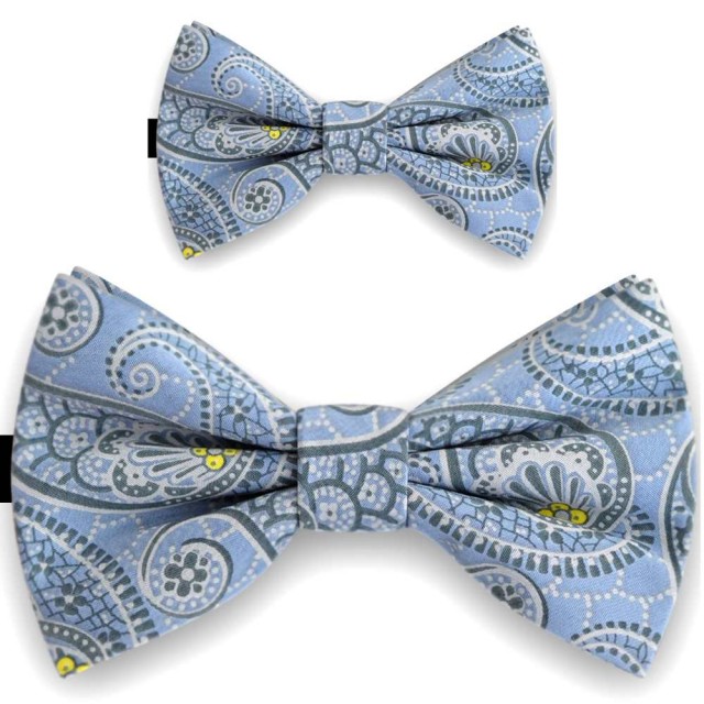 Papioane tată fiu, albastru fier, imprimeuri paisley
